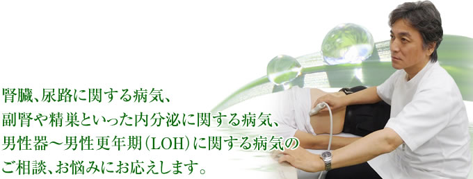 腎臓、尿路に関する病気、副腎や精巣といった内分泌に関する病気、男性器～男性更年期（LOH）に関する病気のご相談、お悩みにお応えします。