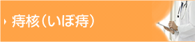 痔核(いぼ痔)